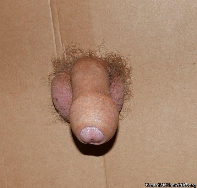 Photo of a pecker from 12hard21