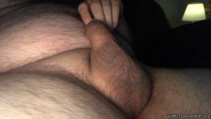 Photo of a middle leg from GFMZ1