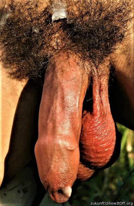 you've got a lot of hair around that 1 eyed monster, looks r
