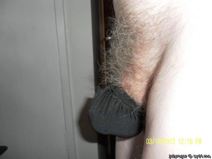 Photo of a horn from jollyroger