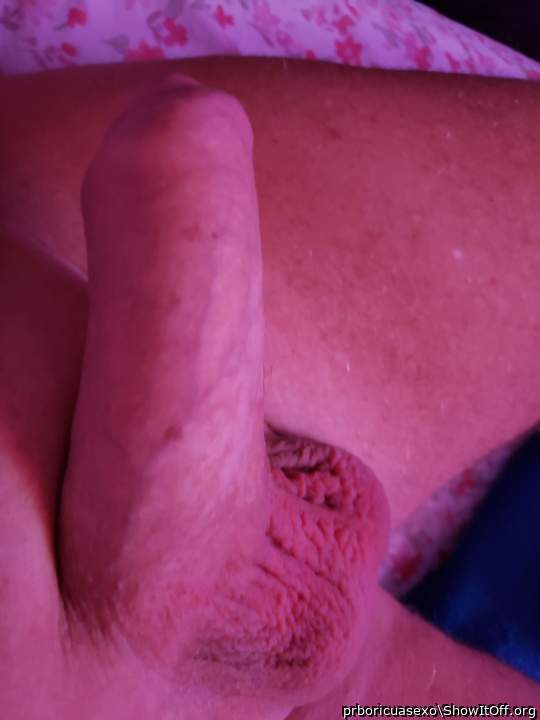 Photo of a python from prboricuasexo