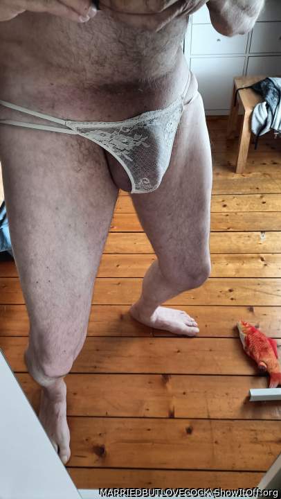 Photo of a rooster from MARRIEDBUTLOVECOCK