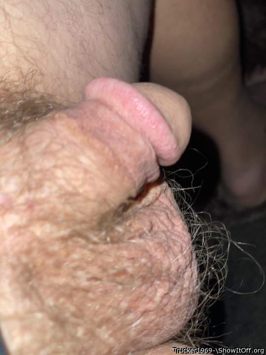 Photo of a dick from Trucker1969-