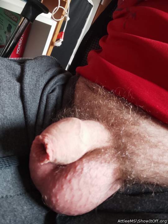 Photo of a pecker from AttleeMS