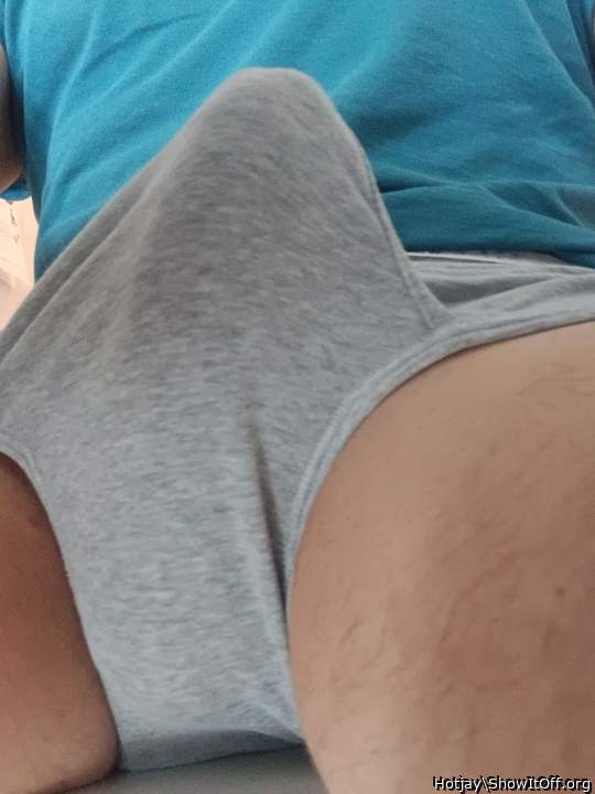 Photo of a weasel from Hotjay