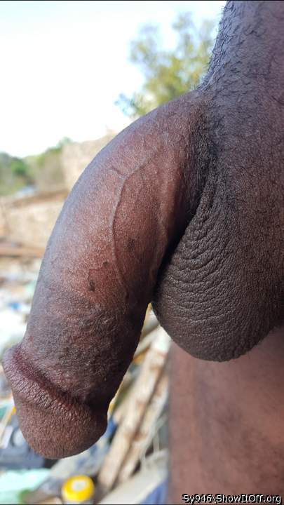 Photo of a dong from Sy946