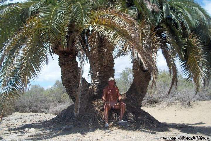 Sheltered from the hot sun.