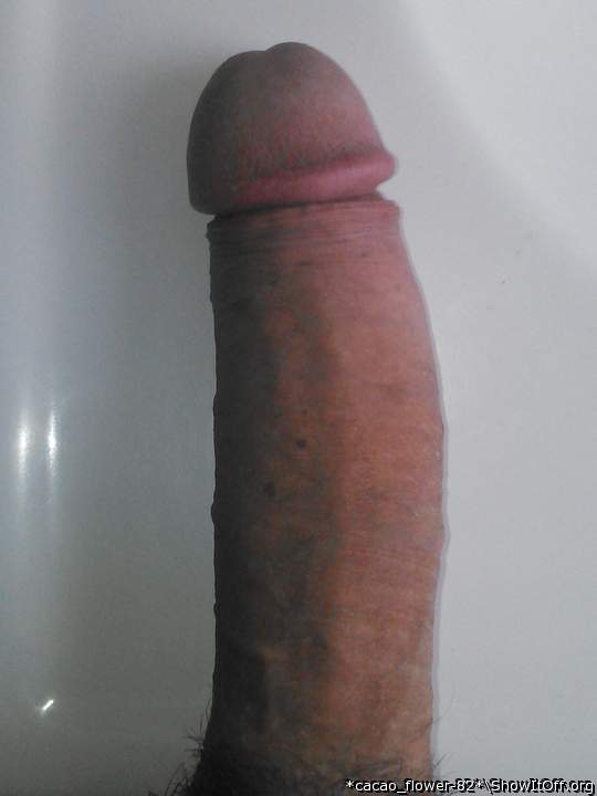 pic3