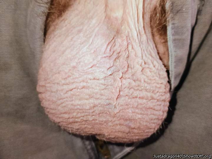 Photo of a weasel from Justadragon40