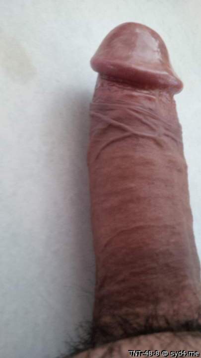 Photo of a penis from TNT-48-8