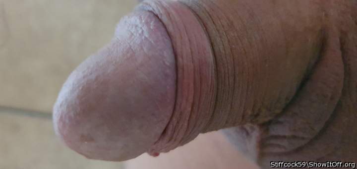 Photo of a cavalier from Stiffcock59