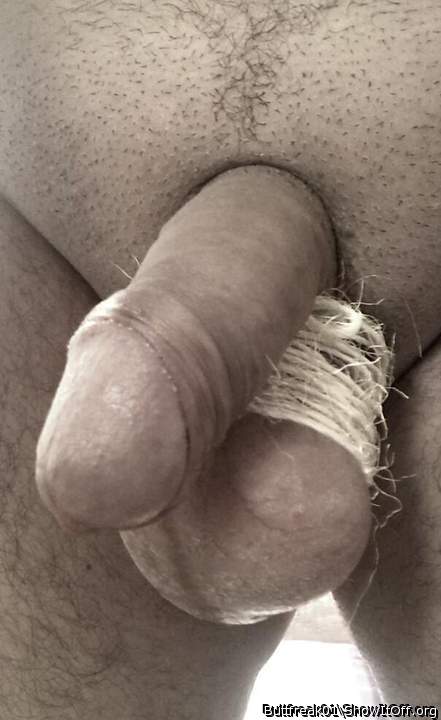 Photo of a snake from buttfreak01