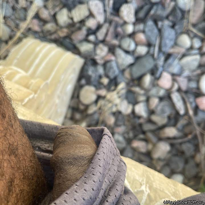 Yard work shorts