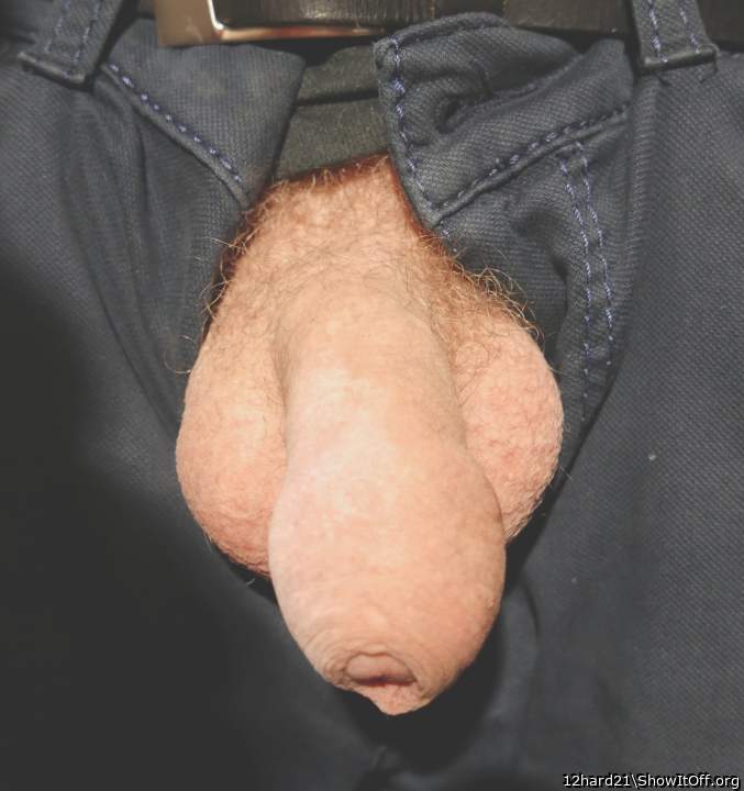 Photo of a wiener from 12hard21