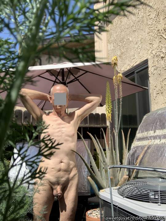 In my patio garden