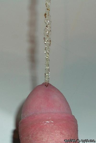 Photo of a dong from abc789