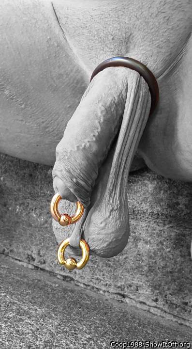 Amazing cock and balls