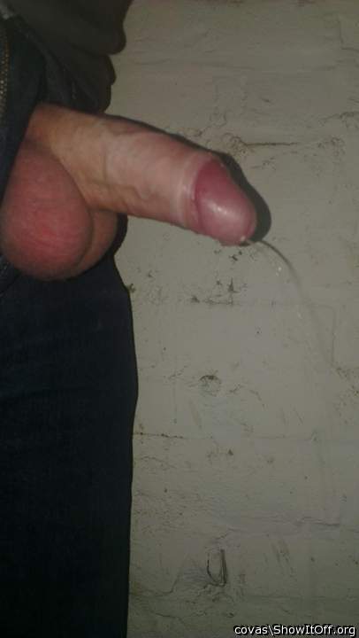 Photo of a python from covas