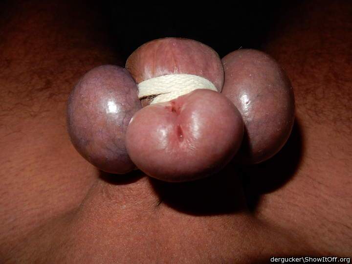Gebunden