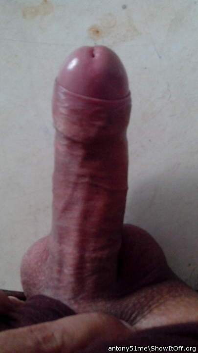 Photo of a python from antony51me