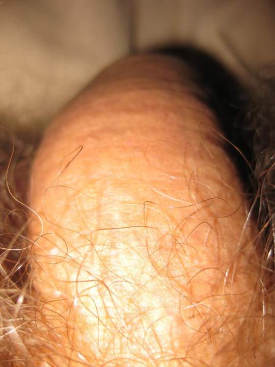 Photo of a python from iccockb4thee
