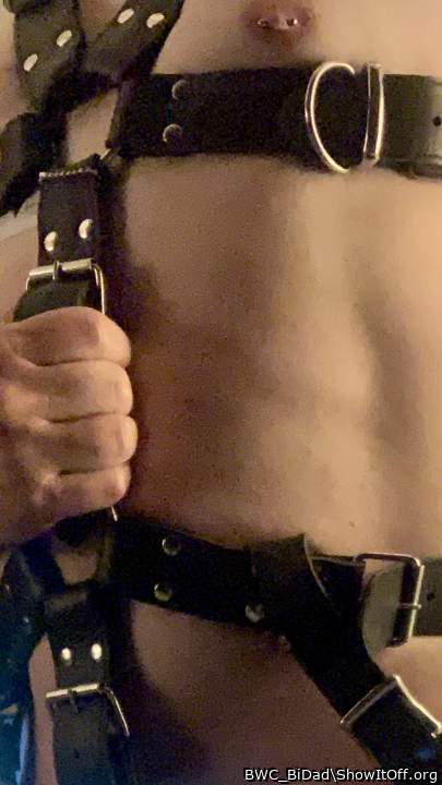 Full Body Harness 4