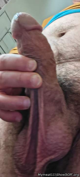 Photo of a bat from Mymeat11