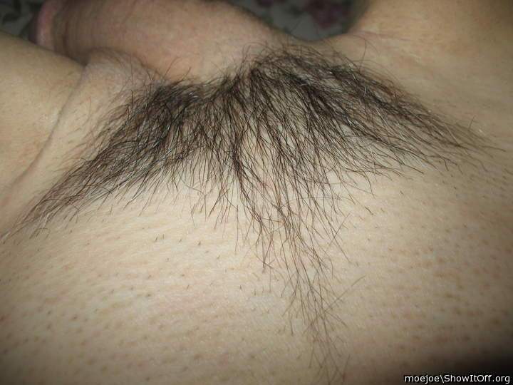 Pubes......