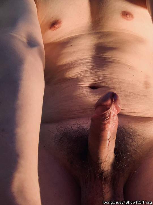 Photo of a python from loongchuay