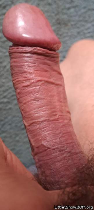 Adult image from Little