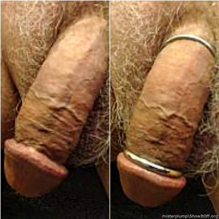 Photo of a cavalier from misterplump