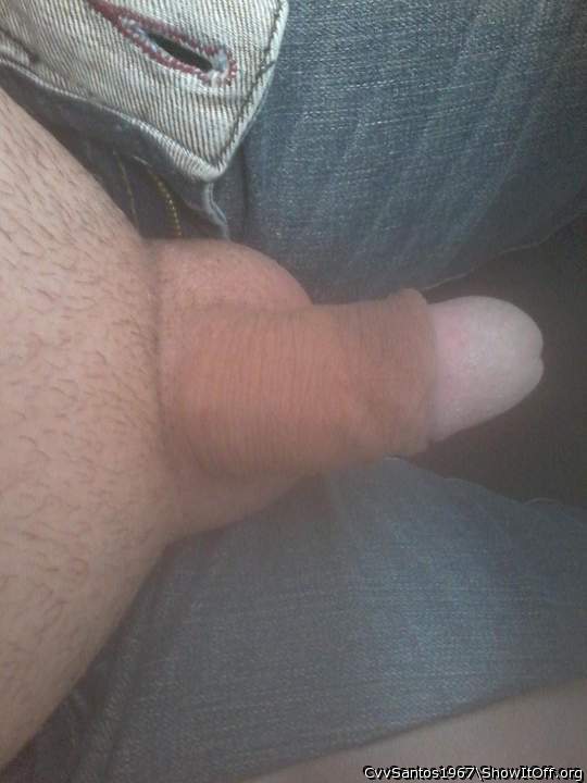 Photo of a dong from CvvSantos1967
