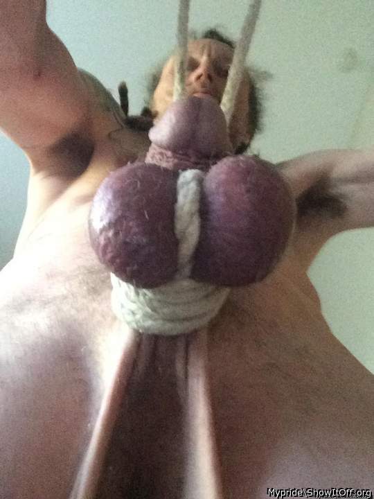 Photo of a pocket rocket from Mypride