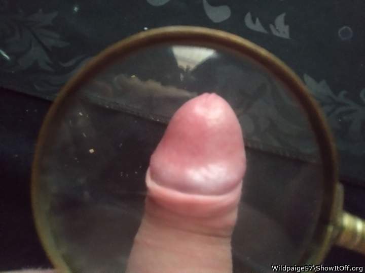 Under the magnifying glass