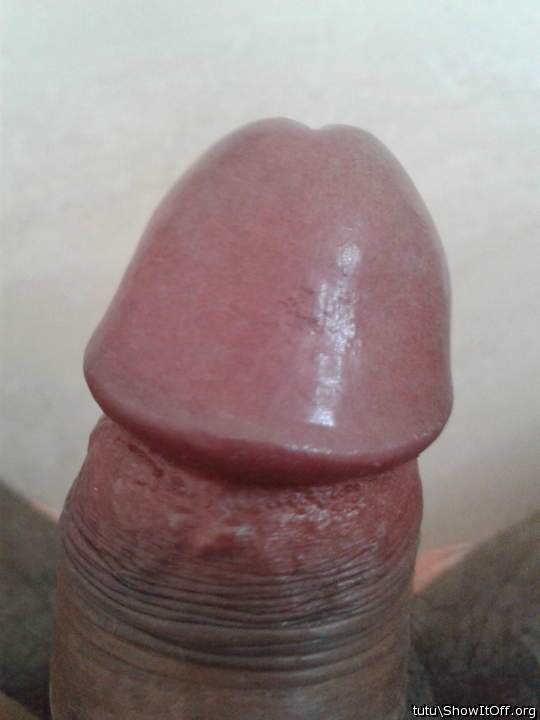 Photo of a short leg from tutu