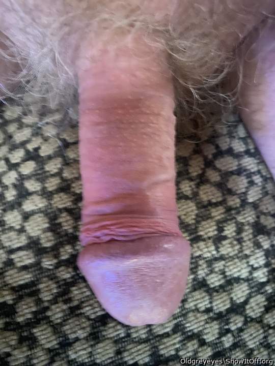 Photo of a third leg from Oldgreyeyes