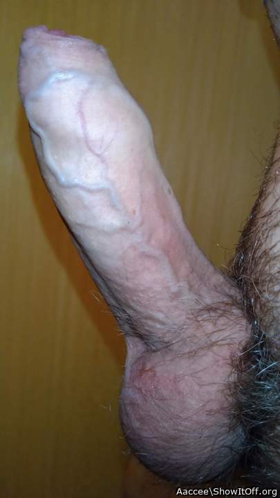 Beautiful veiny cock boner !!    