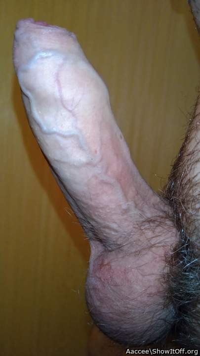 Beautiful veiny cock boner !!    