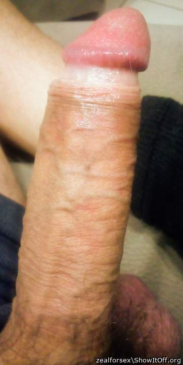 My COCK erect
