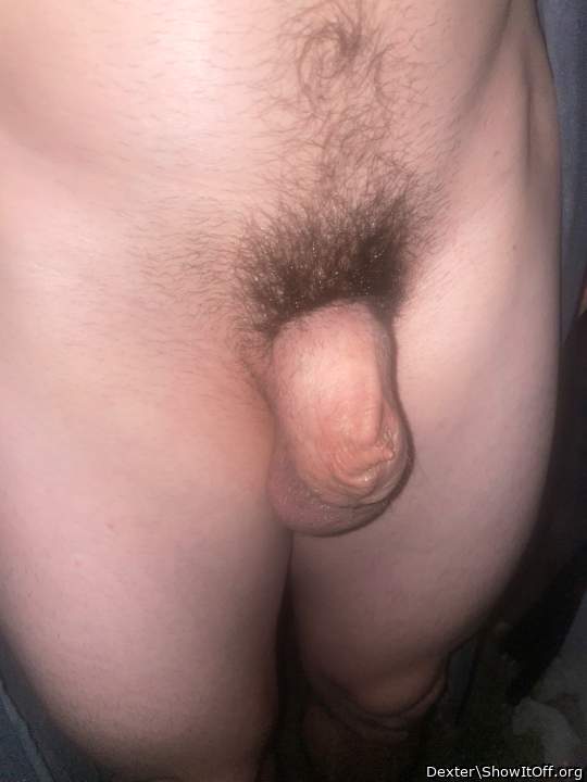 Inverted Penis