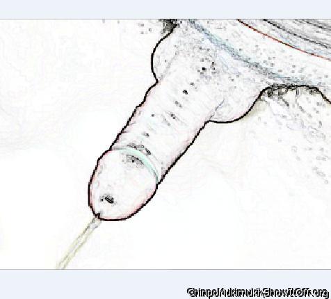 Photo of a weasel from ChinpoMukimuki
