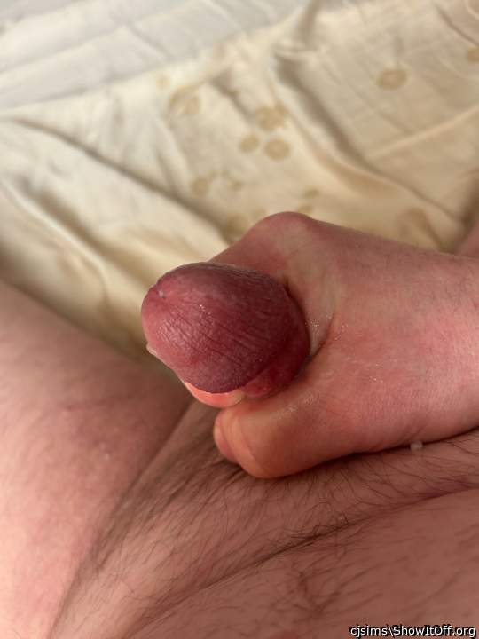 Photo of a schlong from cjsims