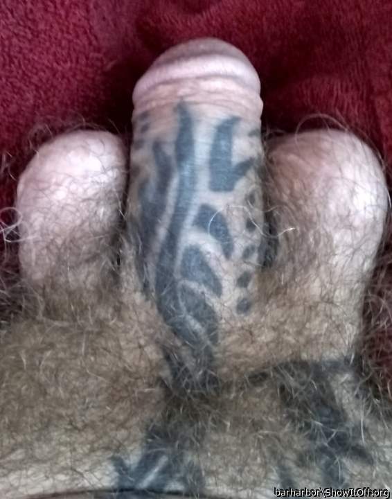Soft cock loose nuts.