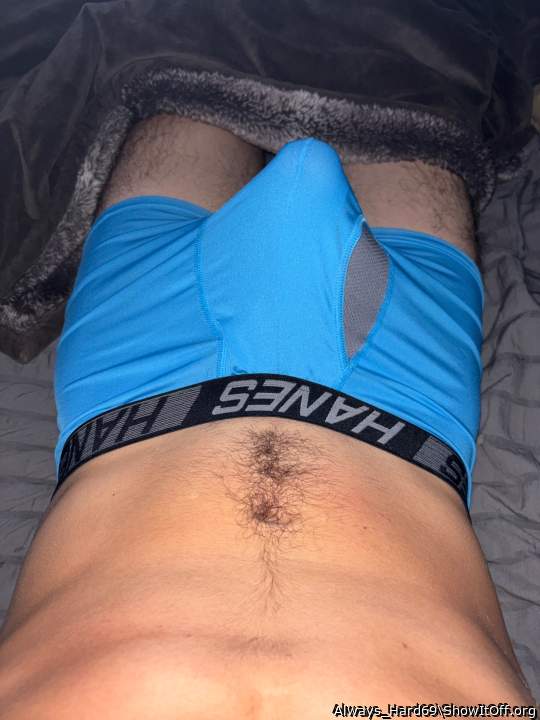 Photo of a weasel from Always_Hard69