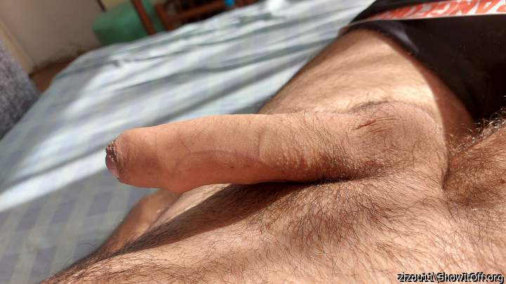 Morning hairy