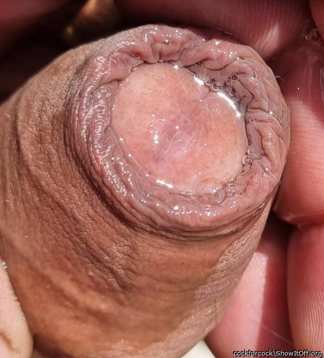 Precum