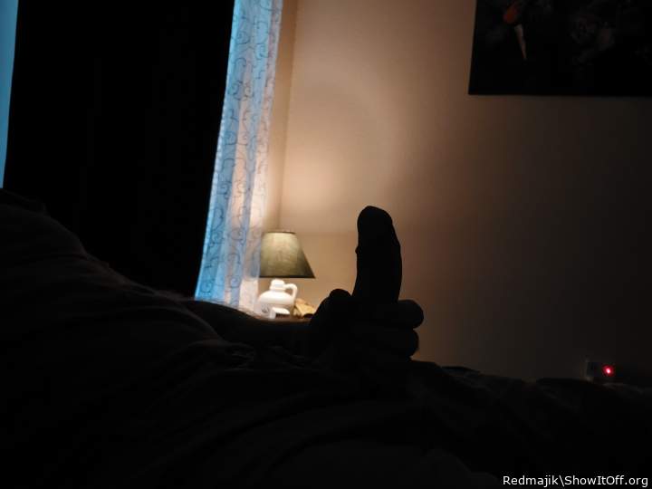 Photo of a middle leg from Redmajik
