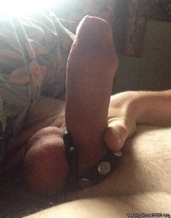 Photo of a meat stick from sexpig