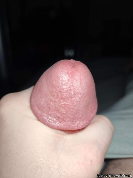 Photo of a pecker from Ripley