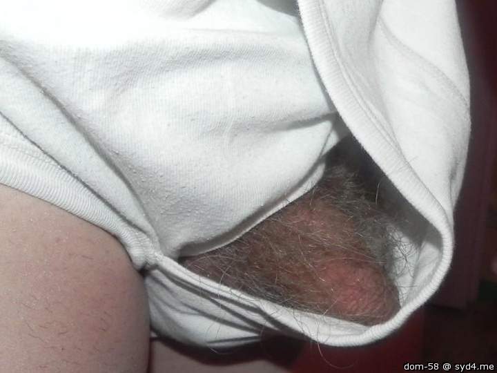 Photo of a wiener from dom-58